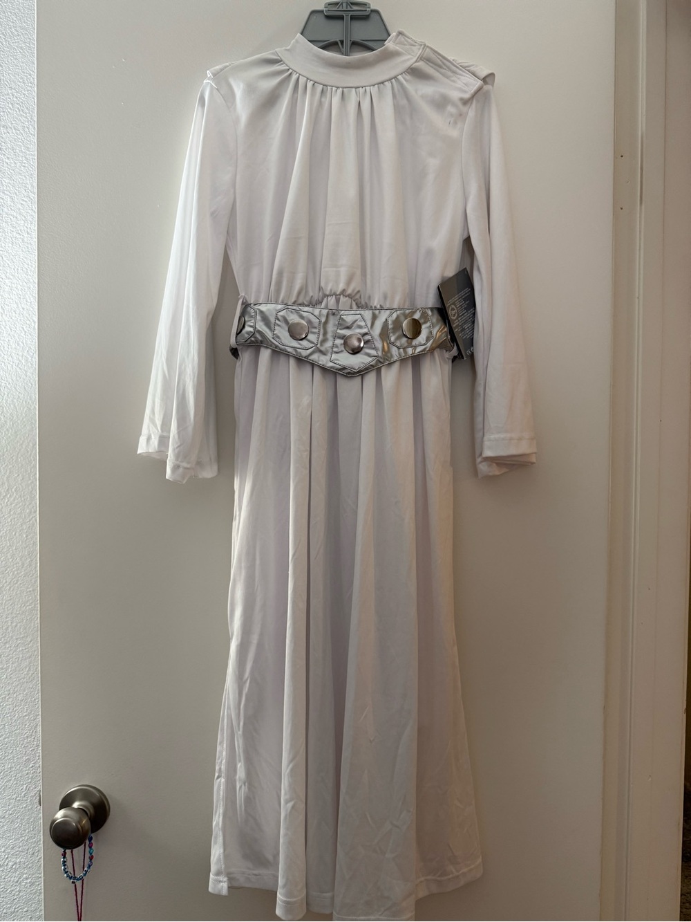 Disney Princess Leia Costume